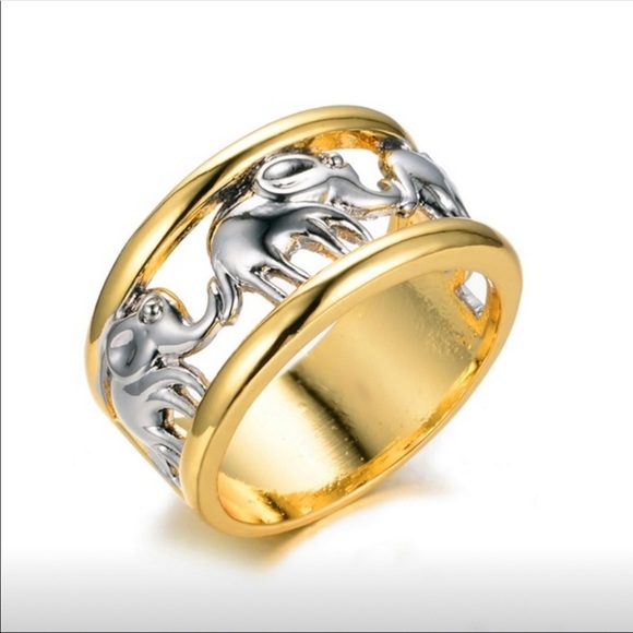 Jewelry - FASHION SILVER AND GOLD RING